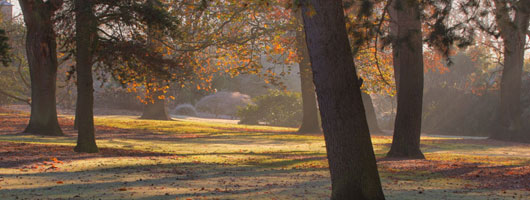 一键故障转移的电话轰炸在线